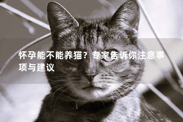 懷孕能不能養(yǎng)貓？專(zhuān)家告訴你注意事項(xiàng)與建議