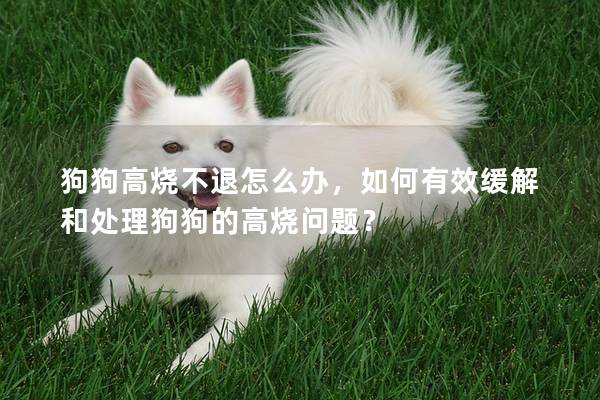狗狗高燒不退怎么辦，如何有效緩解和處理狗狗的高燒問題？