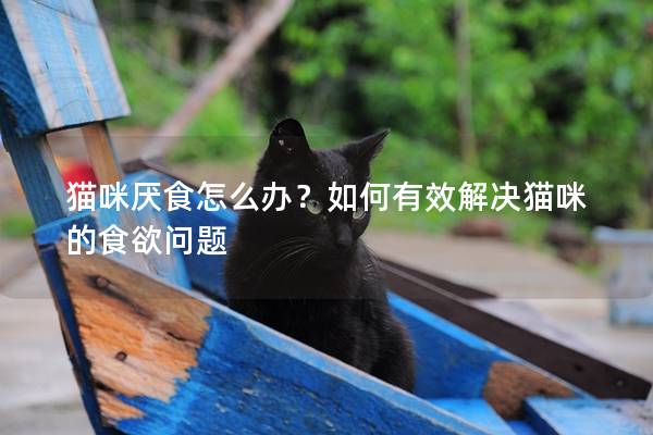 貓咪厭食怎么辦？如何有效解決貓咪的食欲問題