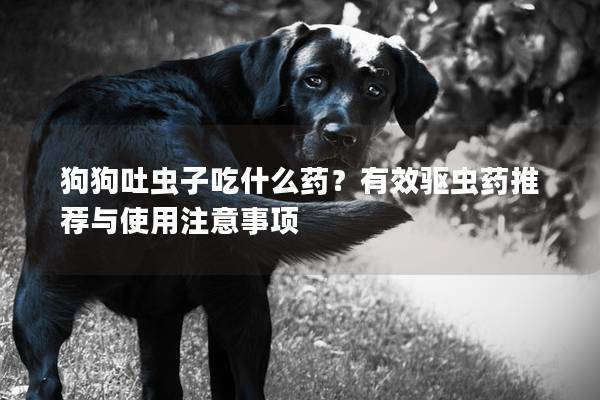 狗狗吐蟲子吃什么藥？有效驅蟲藥推薦與使用注意事項