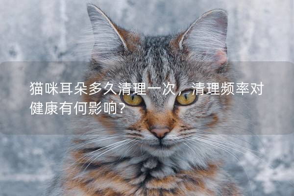 貓咪耳朵多久清理一次，清理頻率對健康有何影響？