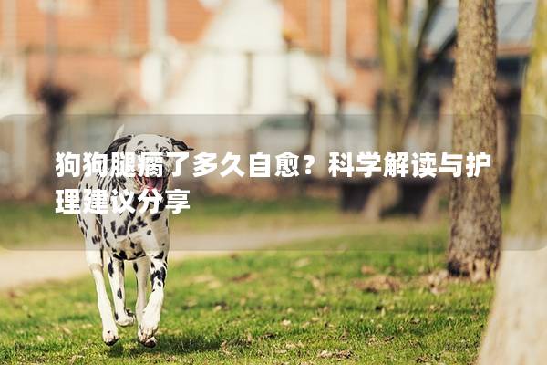 狗狗腿瘸了多久自愈？科學解讀與護理建議分享