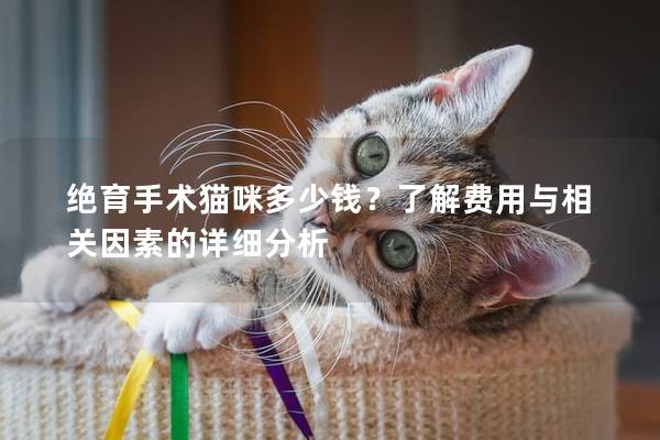 絕育手術(shù)貓咪多少錢(qián)？了解費(fèi)用與相關(guān)因素的詳細(xì)分析