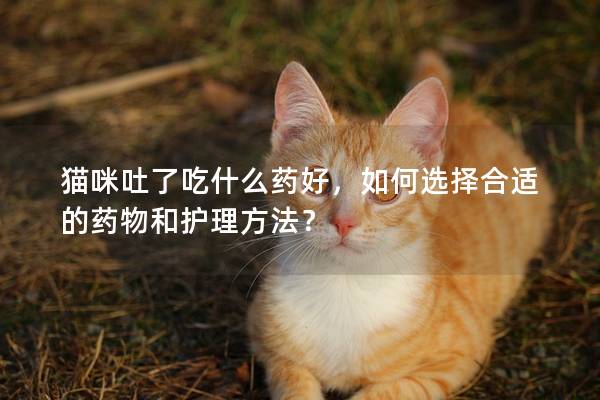 貓咪吐了吃什么藥好，如何選擇合適的藥物和護理方法？