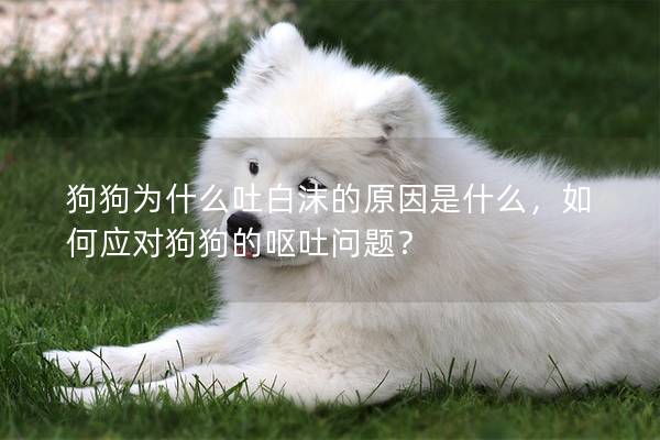 狗狗為什么吐白沫的原因是什么，如何應(yīng)對(duì)狗狗的嘔吐問(wèn)題？