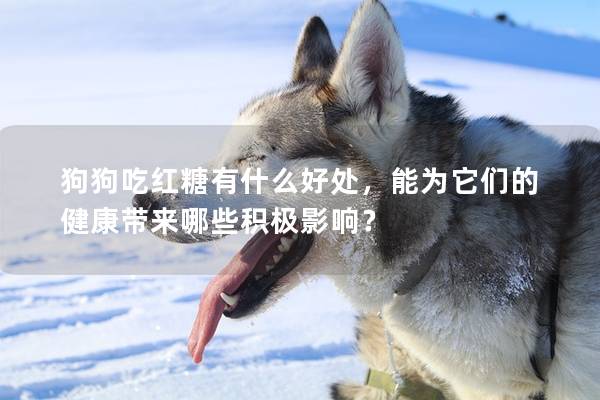 狗狗吃紅糖有什么好處，能為它們的健康帶來哪些積極影響？