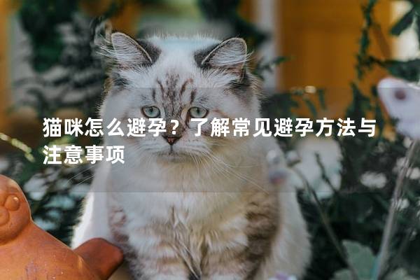 貓咪怎么避孕？了解常見避孕方法與注意事項