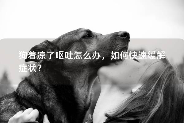 狗著涼了嘔吐怎么辦，如何快速緩解癥狀？