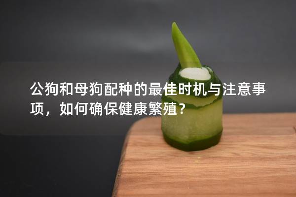 公狗和母狗配種的最佳時機與注意事項，如何確保健康繁殖？