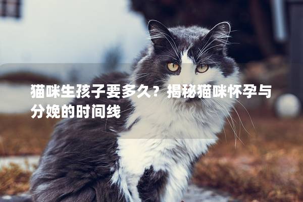貓咪生孩子要多久？揭秘貓咪懷孕與分娩的時間線