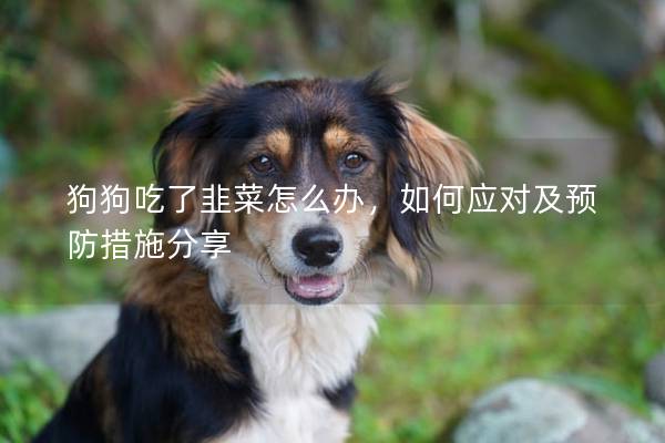 狗狗吃了韭菜怎么辦，如何應對及預防措施分享