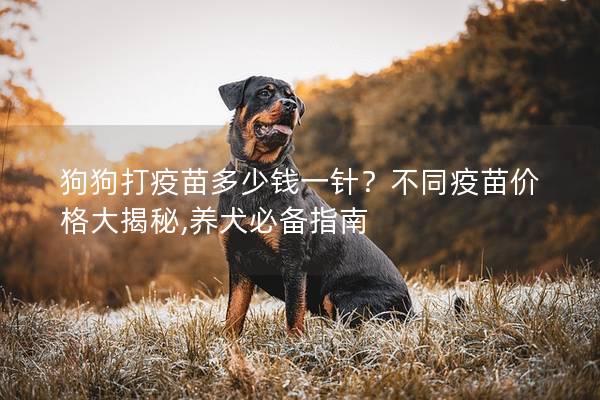 狗狗打疫苗多少錢一針？不同疫苗價(jià)格大揭秘,養(yǎng)犬必備指南