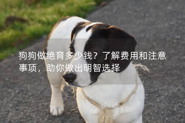 狗狗做絕育多少錢？了解費用和注意事項，助你做出明智選擇