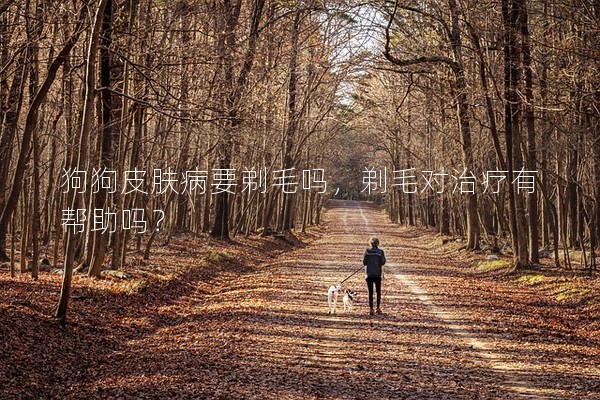狗狗皮膚病要剃毛嗎，剃毛對(duì)治療有幫助嗎？