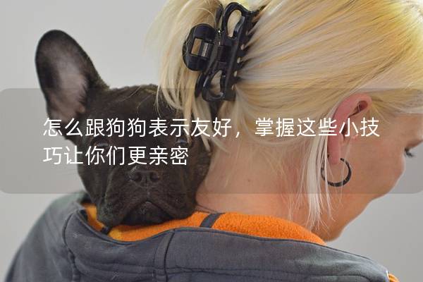怎么跟狗狗表示友好，掌握這些小技巧讓你們更親密