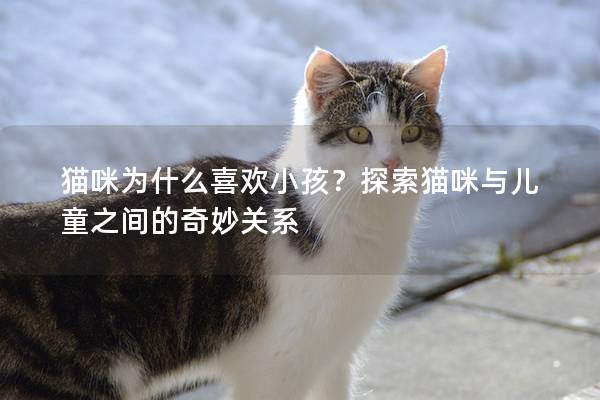 貓咪為什么喜歡小孩？探索貓咪與兒童之間的奇妙關(guān)系