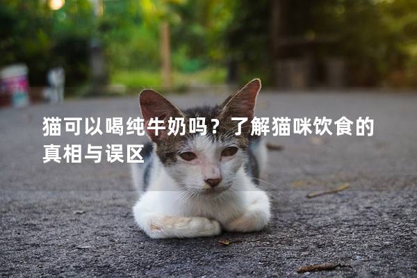 貓可以喝純牛奶嗎？了解貓咪飲食的真相與誤區