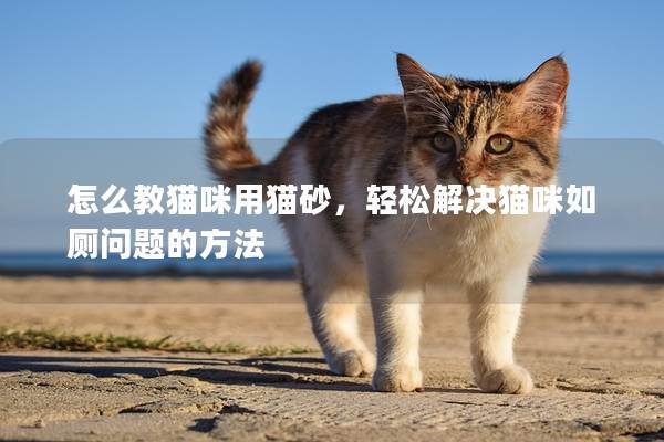 怎么教貓咪用貓砂，輕松解決貓咪如廁問題的方法