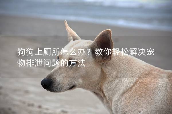 狗狗上廁所怎么辦？教你輕松解決寵物排泄問題的方法