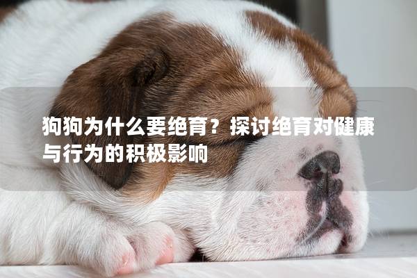狗狗為什么要絕育？探討絕育對健康與行為的積極影響