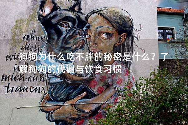 狗狗為什么吃不胖的秘密是什么？了解狗狗的代謝與飲食習慣