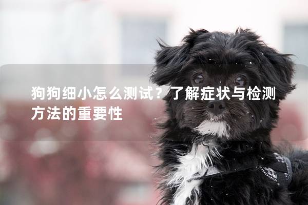 狗狗細小怎么測試？了解癥狀與檢測方法的重要性