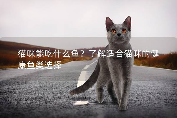 貓咪能吃什么魚？了解適合貓咪的健康魚類選擇