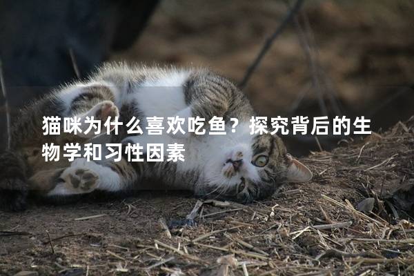 貓咪為什么喜歡吃魚？探究背后的生物學和習性因素