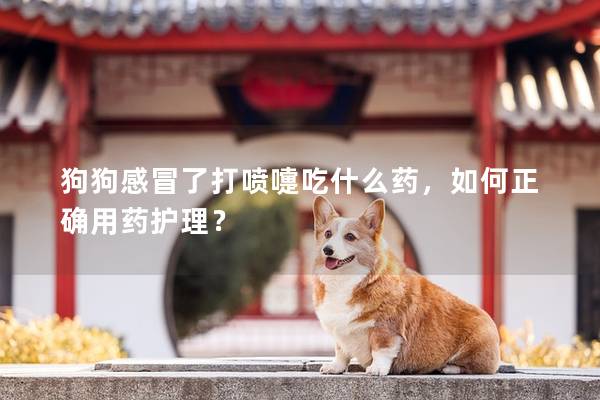 狗狗感冒了打噴嚏吃什么藥，如何正確用藥護理？