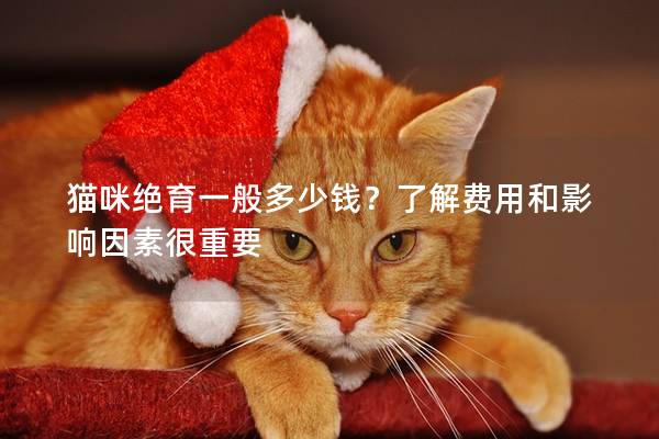 貓咪絕育一般多少錢？了解費用和影響因素很重要