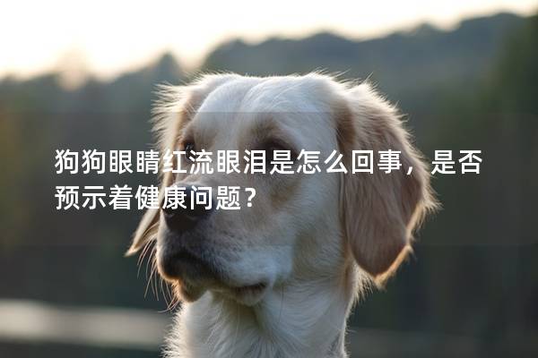 狗狗眼睛紅流眼淚是怎么回事，是否預示著健康問題？