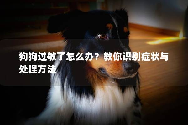 狗狗過敏了怎么辦？教你識別癥狀與處理方法