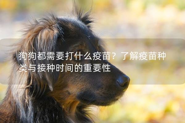狗狗都需要打什么疫苗？了解疫苗種類與接種時間的重要性