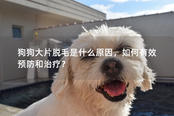 狗狗大片脫毛是什么原因，如何有效預防和治療？