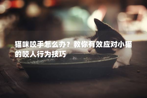 貓咪咬手怎么辦？教你有效應(yīng)對小貓的咬人行為技巧