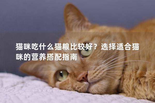 貓咪吃什么貓糧比較好？選擇適合貓咪的營養搭配指南