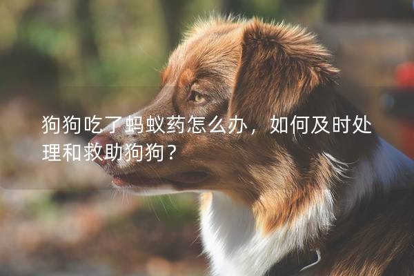 狗狗吃了螞蟻藥怎么辦，如何及時處理和救助狗狗？