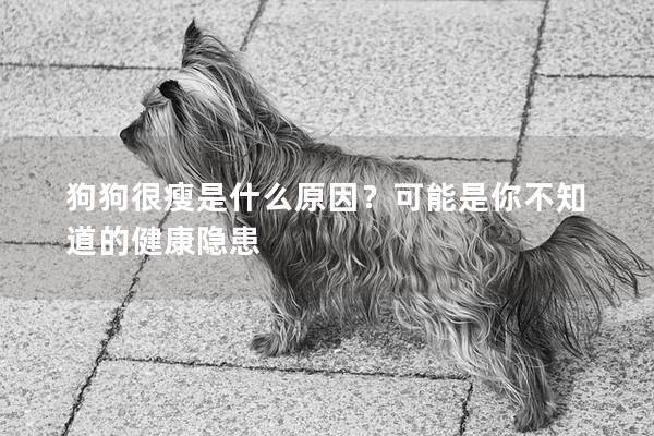 狗狗很瘦是什么原因？可能是你不知道的健康隱患