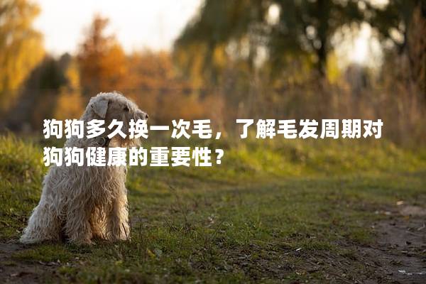 狗狗多久換一次毛，了解毛發(fā)周期對(duì)狗狗健康的重要性？