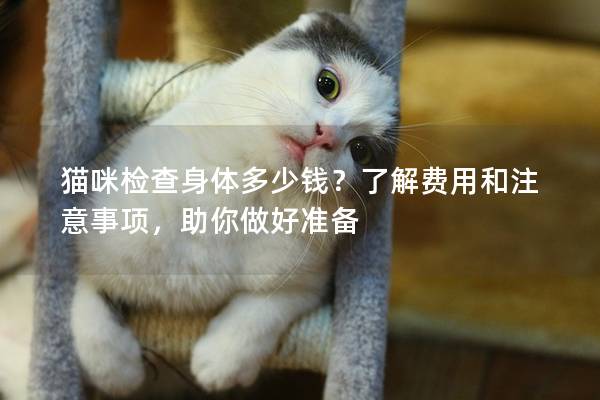 貓咪檢查身體多少錢？了解費(fèi)用和注意事項(xiàng)，助你做好準(zhǔn)備