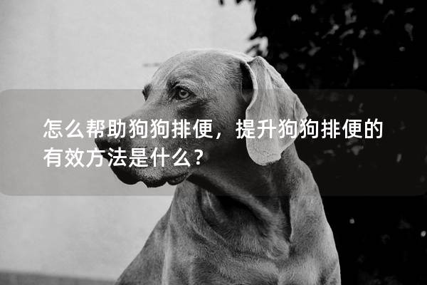 怎么幫助狗狗排便，提升狗狗排便的有效方法是什么？