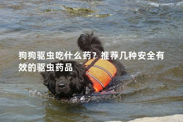 狗狗驅(qū)蟲(chóng)吃什么藥？推薦幾種安全有效的驅(qū)蟲(chóng)藥品