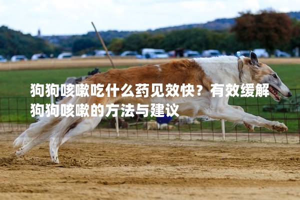 狗狗咳嗽吃什么藥見效快？有效緩解狗狗咳嗽的方法與建議