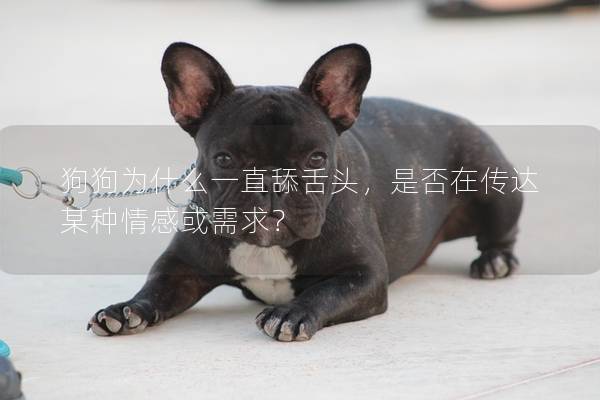 狗狗為什么一直舔舌頭，是否在傳達某種情感或需求？