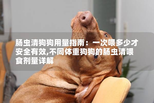 腸蟲(chóng)清狗狗用量指南：一次喂多少才安全有效,不同體重狗狗的腸蟲(chóng)清喂食劑量詳解