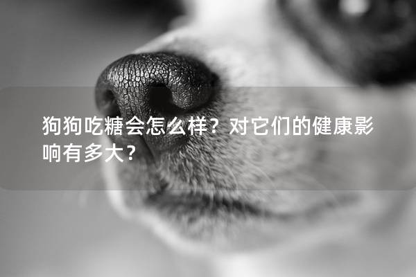 狗狗吃糖會怎么樣？對它們的健康影響有多大？