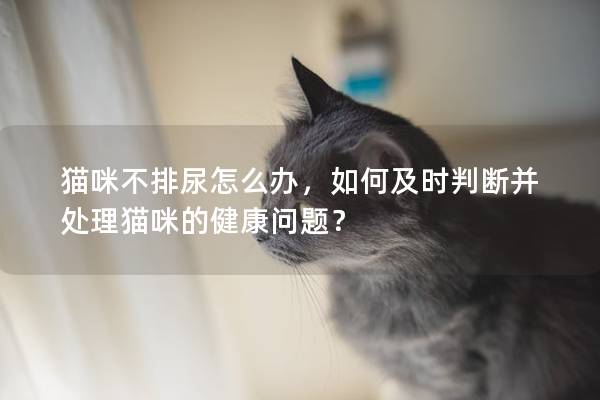貓咪不排尿怎么辦，如何及時判斷并處理貓咪的健康問題？
