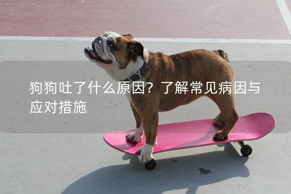 狗狗吐了什么原因？了解常見(jiàn)病因與應(yīng)對(duì)措施