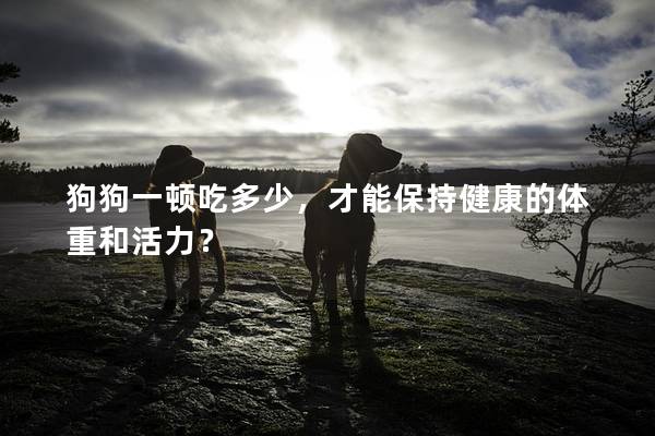 狗狗一頓吃多少，才能保持健康的體重和活力？