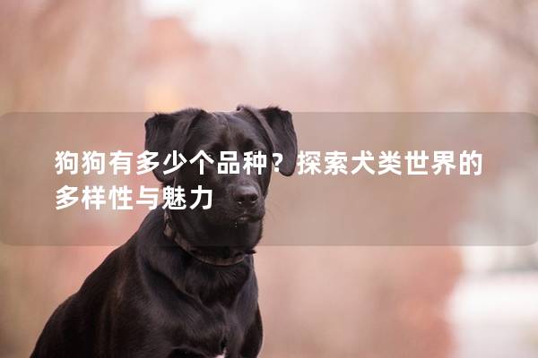 狗狗有多少個(gè)品種？探索犬類世界的多樣性與魅力
